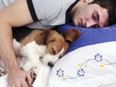Dormir con perros mejora la calidad del sueño, según científicos