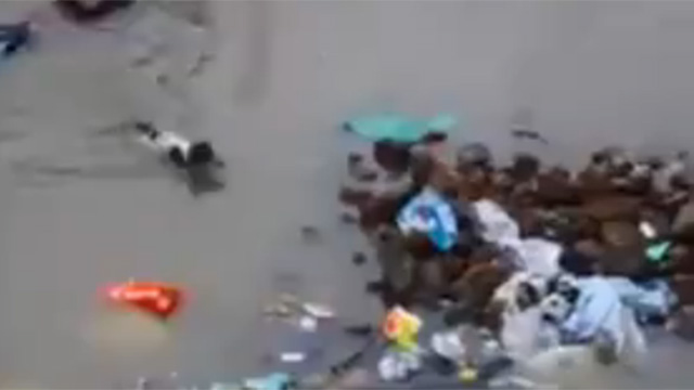 Una madre salva a sus 4 cachorros durante unas inundaciones en la India