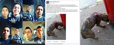 Mutila a perro, le da de comer de su propia carne y se burla en redes sociales