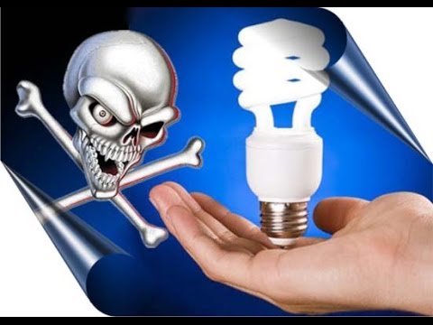 Luz tóxica, el lado oscuro de las bombillas ecológicas de bajo consumo