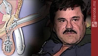 Joaquín El Chapo Guzmán sufre de disfunción eréctil, según médicos legistas