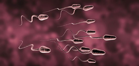 Los beneficios del esperma para la salud