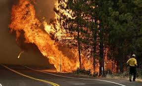Hay riesgo muy alto de incendios forestales en Uruguay, alertan autoridades