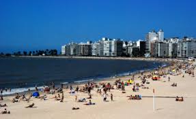 Playas de Montevideo sin cianobacterias ni aguavivas
