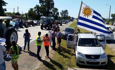 Capelinas y autos 0 kilómetro en protesta de tamberos por aumento de tarifas en Uruguay