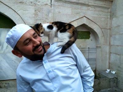 Un imán abre su mezquita a los gatos callejeros para que no pasen frío