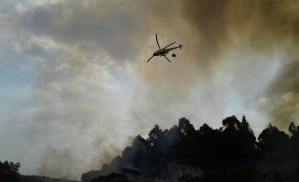 Controlaron incendio en Cerro del Toro y estalló otro en Lavalleja