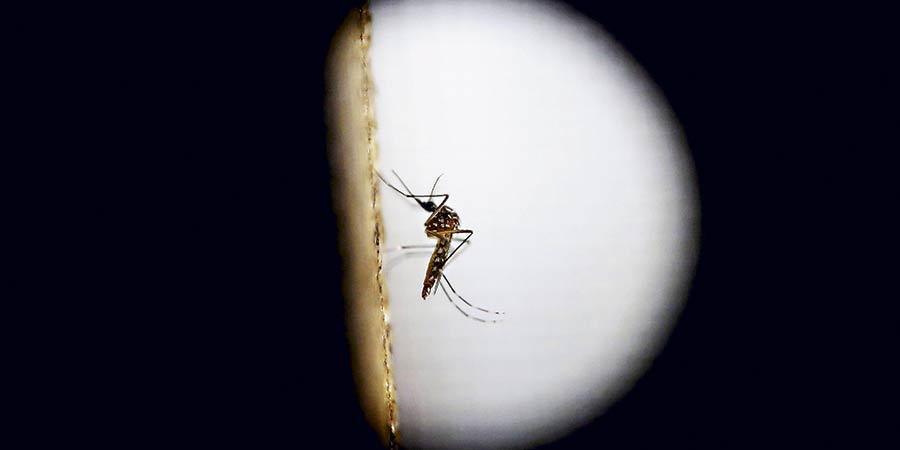 Primer caso de zika por transmisión sexual
