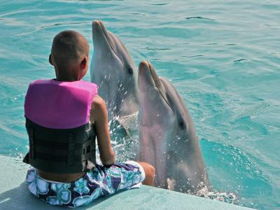 Terapia con delfines para tratar a niños con síndrome de Down