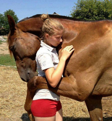 Los caballos pueden leer las emociones humanas