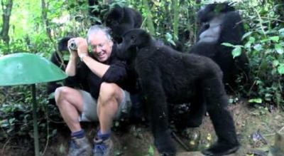 El miedo del fotógrafo y la ternura de los gorilas