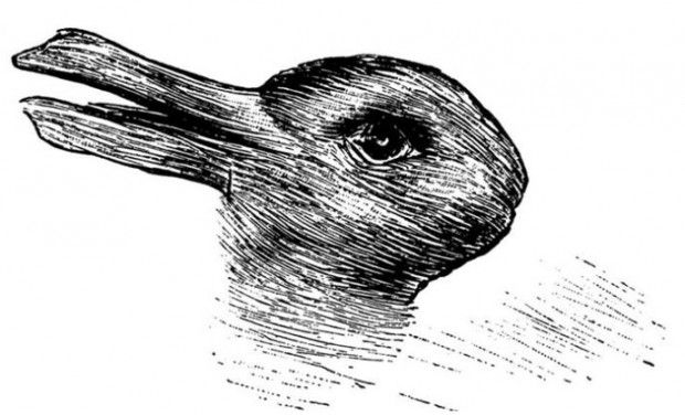 ¿Qué ves, un pato o un conejo? La respuesta dice mucho más de ti de lo que crees