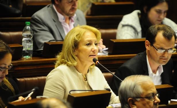 Desalojaron las barras en el Senado por insultos a ministra Carolina Cosse