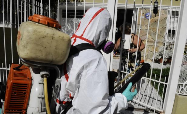 ¿Uno solo en Pocitos?: Ausencia de más casos de dengue desconcierta a especialistas en Uruguay