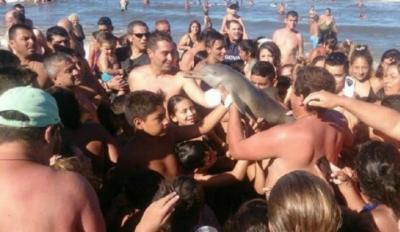 Inician campaña en Argentina para que se castigue a turistas que mataron a delfín