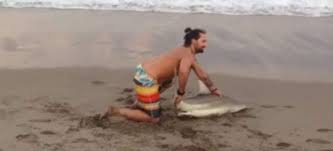 Un hombre saca a un tiburón del agua para tomarse fotos con él y provoca indignación