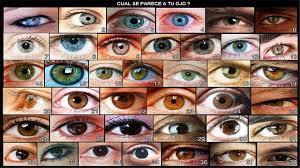 Si quieres conocer tu personalidad o la otro mira el color de ojos
