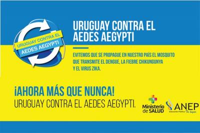 Dengue: precauciones en los centros educativos de Uruguay