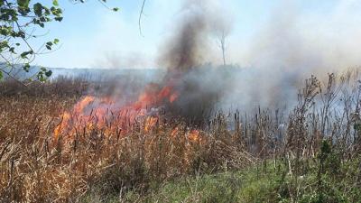 Gran incendio en Pinar Norte próximo a varias viviendas