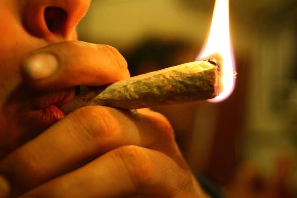 Consumo de marihuana reduce riesgo de síndrome metabólico en latinos de EEUU, revela estudio