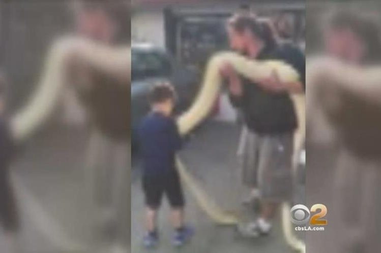 Cliente enfadado suelta una serpiente gigante en un restaurante de EEUU