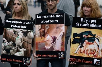Ordenan controlar todos los mataderos de Francia tras nuevo vídeo de maltrato animal