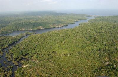 Científicos descubren un gran arrecife de coral en la boca del río Amazonas
