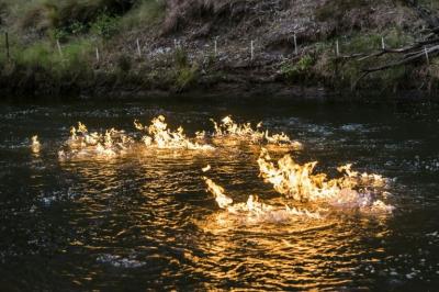 Un diputado australiano prende fuego a un río para denunciar el 'fracking'