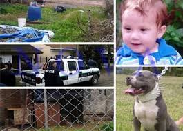 Dueño de pitbull que mató a un niño fue condenado a 8 años de prisión