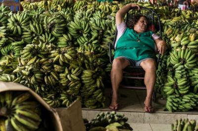 El origen del despectivo término "república bananera"
