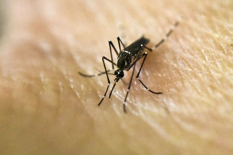 Los atletas surcoreanos en Río llevarán ropa antimosquitos por el zika