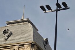 Montevideo renovará el 80% de sus luminarias por tecnología LED