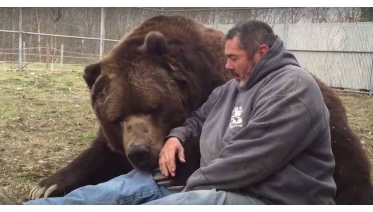 El enorme oso Jimbo muestra su afecto a quien lo cuida