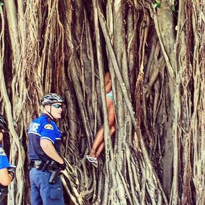 La Policía rescata a una mujer atrapada entre las raíces aéreas de árbol
