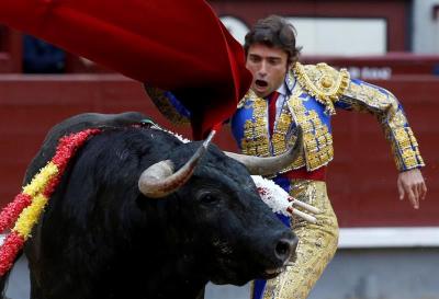 Rebelión: Los toros entraron al ruedo de Madrid e ignoraron a los toreros