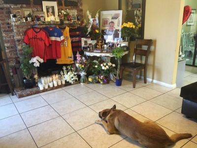 Un perro llora la muerte de su amo en una imagen devastadora