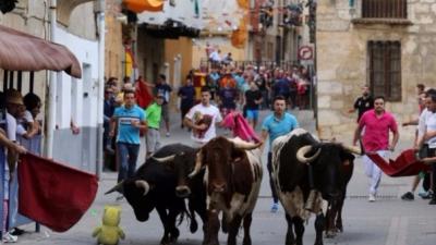 España: prohíben matar a toros en controvertidas fiestas tradicionales