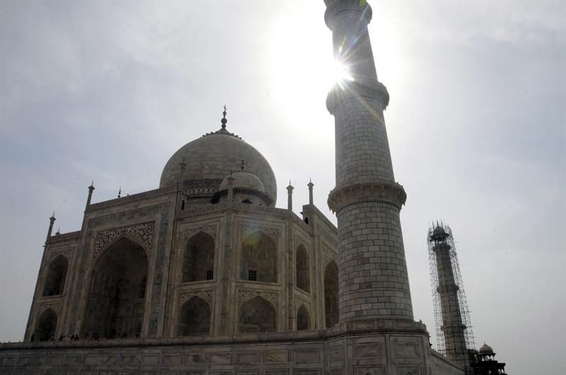 Al Taj Mahal le sale otra amenaza en forma de insecto que verdea su mármol