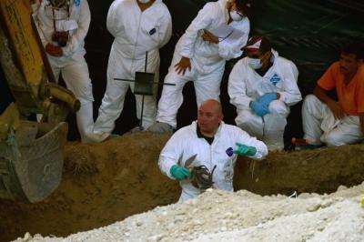 Exhuman en México 116 cuerpos enterrados por autoridades en fosa común