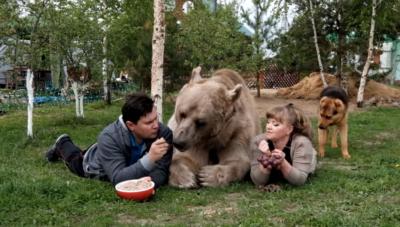 ¿El oso más educado del mundo? Animal sorprende por su comportamiento