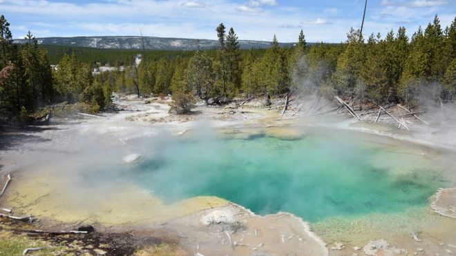 Trágica muerte de joven "tragado" por fuente termal en parque de Yellowstone