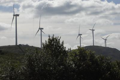 Uruguay es "modelo" en avance de energías renovables, según BID