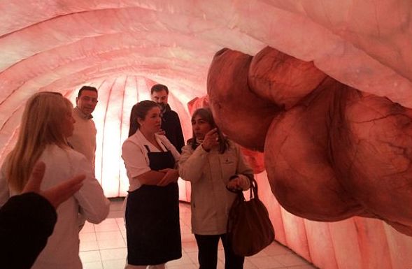Un colon gigante en la explanada de la Intendencia de Montevideo