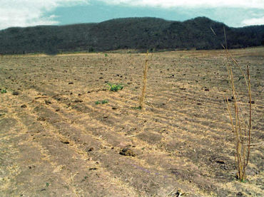 Sequía en México se debe a agricultura y no a falta de lluvia
