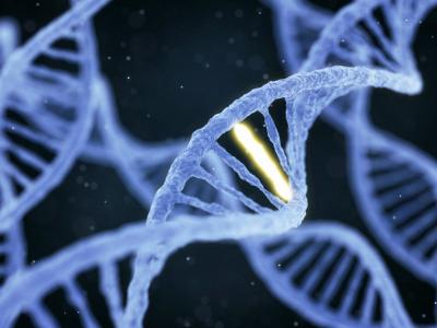Genes permanecen activos días después de producirse la muerte, revela estudio