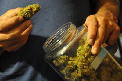El registro de usuarios de marihuana en Uruguay abrirá en pocos días