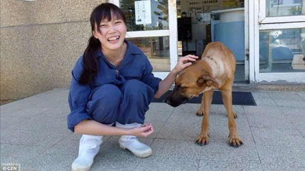Una joven veterinaria se suicida tras haber sacrificado a 700 perros en Taiwán