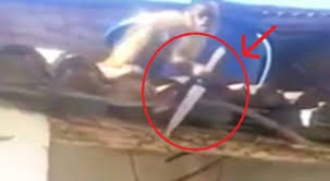 Mono ataca a un hombre con un cuchillo
