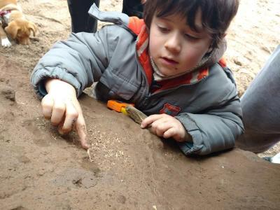 Un niño encuentra en Argentina restos fósiles que se cree tienen 500.000 años
