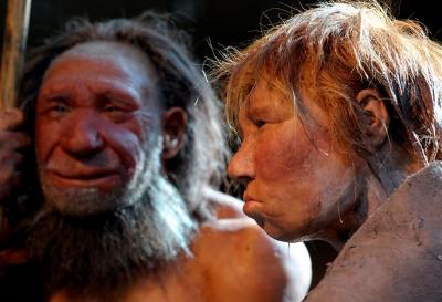 Descubren la primera evidencia de canibalismo neandertal en Europa